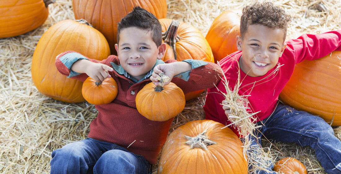 Two multi-ethnic 5 year old boys playing together in a pumpkin patch. They are looking up at the camera, smiling.